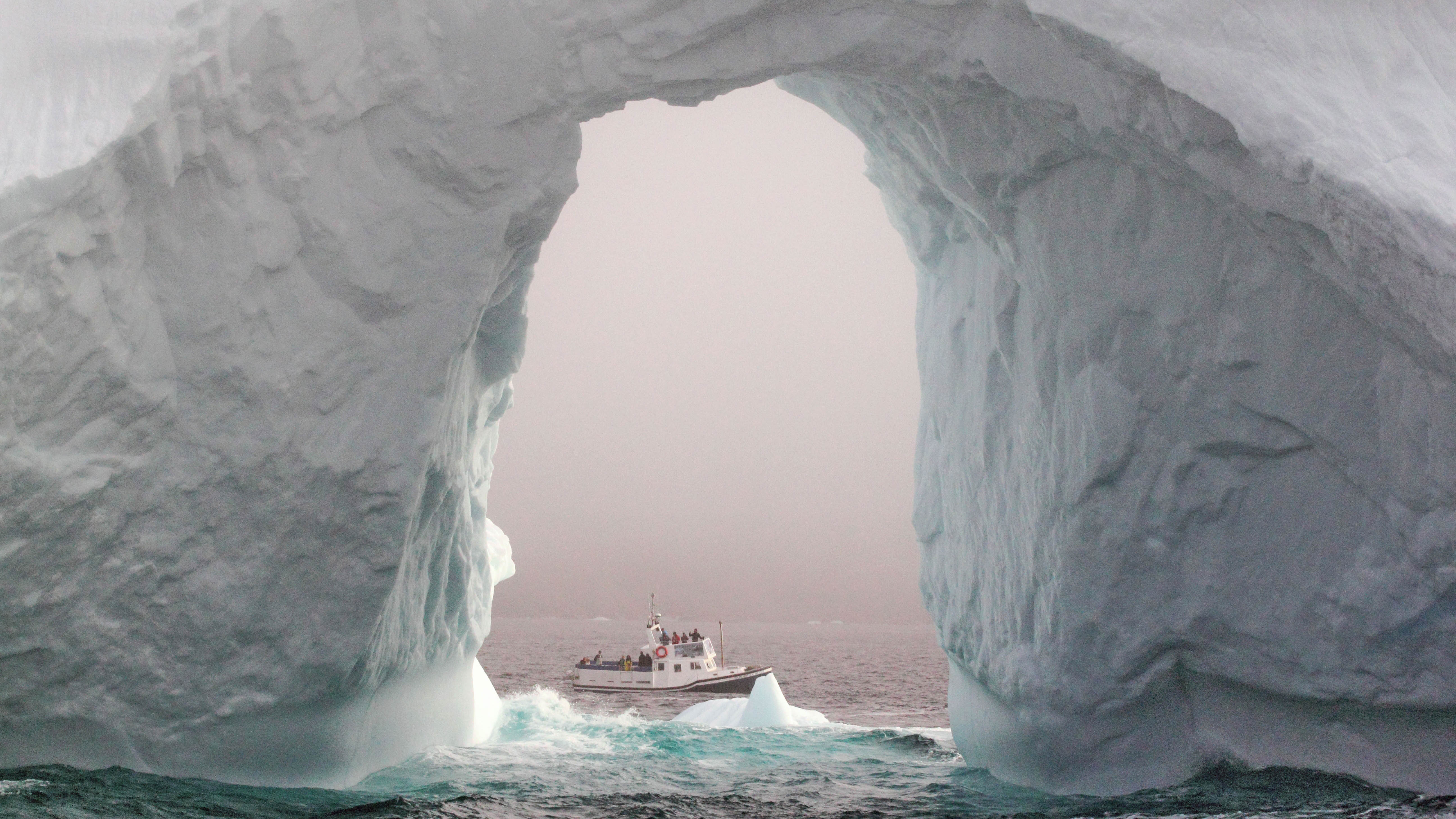 Alick Tsui: A Passion For Photography – Newfoundland Herald